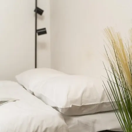 Air 102 Apartment
